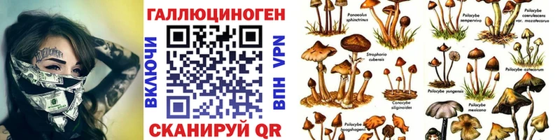 Галлюциногенные грибы Magic Shrooms наркотики Краснослободск